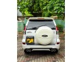 prado-120-2004-small-4