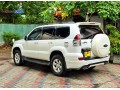 prado-120-2004-small-1