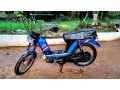 tvs-cham-48cc-2015-small-1