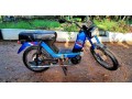tvs-cham-48cc-2015-small-6