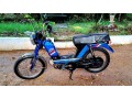 tvs-cham-48cc-2015-small-3