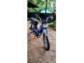 tvs-cham-48cc-2015-small-5
