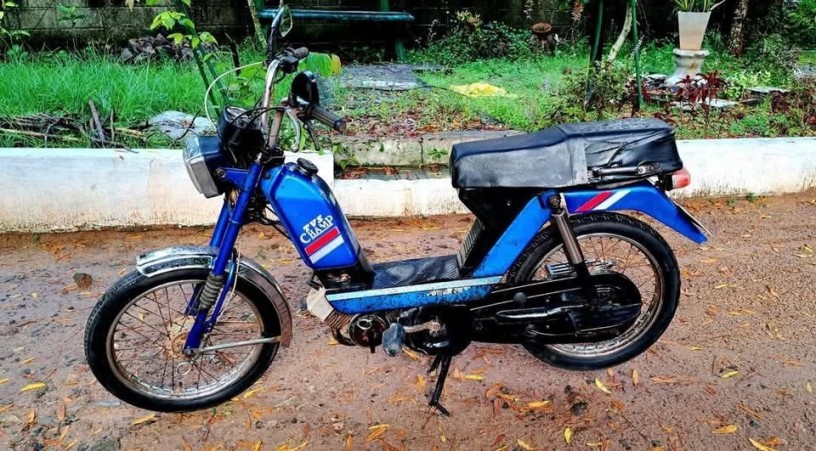 tvs-cham-48cc-2015-big-3