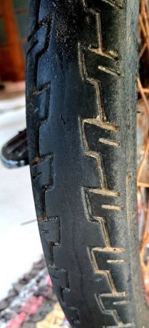 tvs-cham-48cc-2015-big-7
