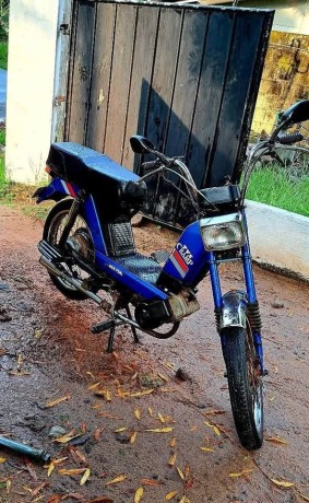tvs-cham-48cc-2015-big-9