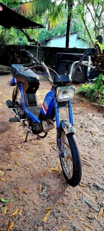 tvs-cham-48cc-2015-big-5
