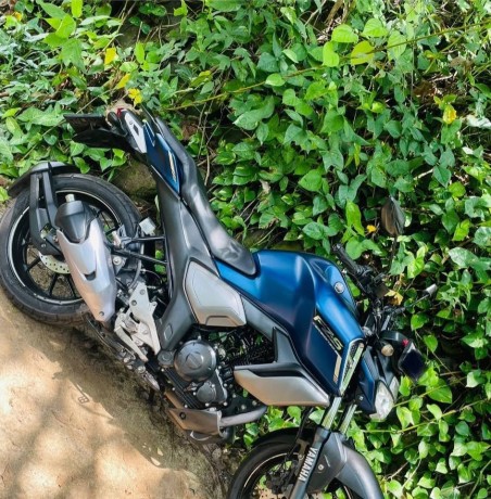 fz-big-5