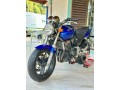 honda-hornet-250-ch125-small-0