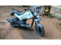honda-navi-2017-2017-small-4