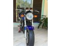 honda-hornet-250-ch125-small-3