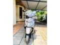 tvs-wego-2018-small-2