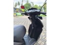 honda-dio-dx-small-3