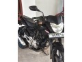 bajaj-pulsar-small-2