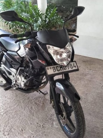 bajaj-pulsar-big-1