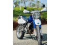 suzuki-dejbel-250-registered-small-2