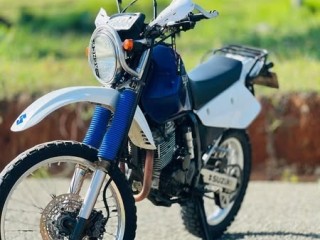 suzuki-dejbel-250-registered