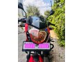 pulser-135-ls-small-0