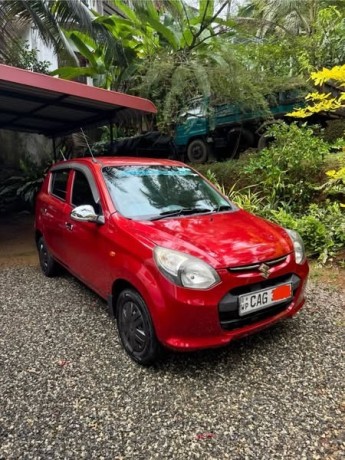 alto-800-big-1