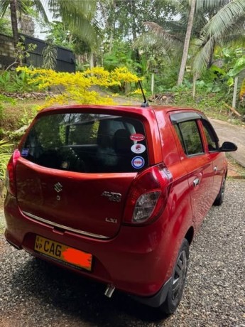 alto-800-big-2