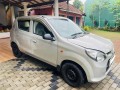 suzuki-alto-small-2