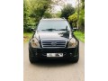 micro-rexton-small-0