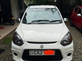 alto-800