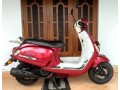 demak-tropica-125-small-4