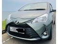 toyota-vitz-small-2