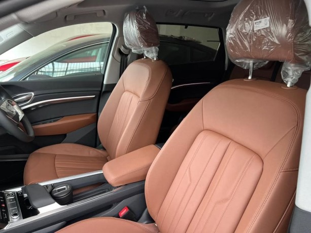 audi-e-tron-q8-2024-big-4