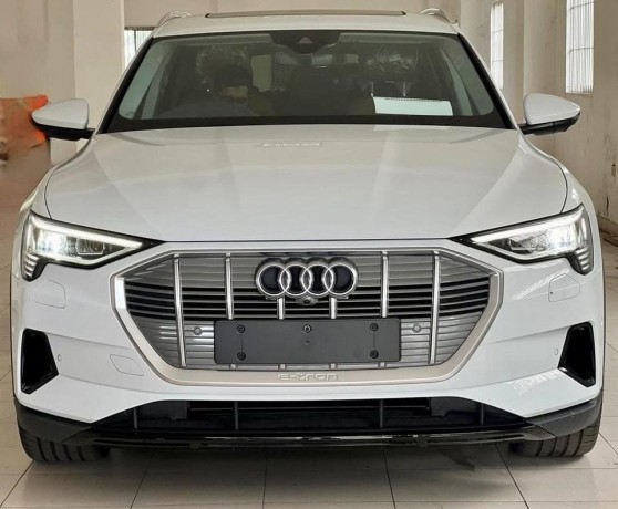 audi-e-tron-q8-2024-big-8