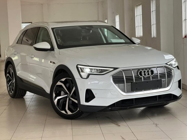 audi-e-tron-q8-2024-big-6