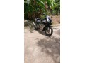 cbr-mc19-t-number-for-sale-small-1