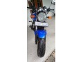 honda-hornet-small-4