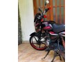 platina-125-2010-small-2
