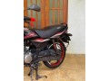 platina-125-2010-small-1