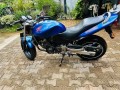 hornet-ch120-small-3