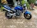 hornet-ch120-small-1