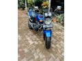 hornet-ch120-small-0