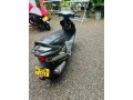 tvs-scooty-pep-small-4