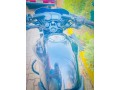 pulsar-135-small-2