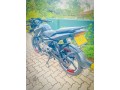 pulsar-135-small-4