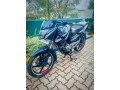 pulsar-135-small-0