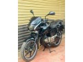 pulser-150-2012-small-0