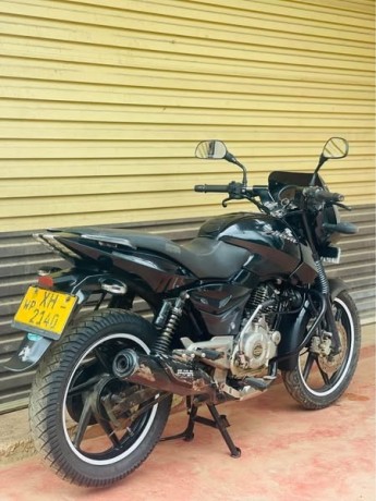 pulser-150-2012-big-1
