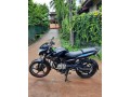 bajaj-pulsar-135-ls-2013-small-4