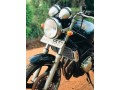suzuki-bandit-v-small-4