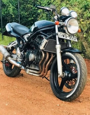 suzuki-bandit-v-big-2