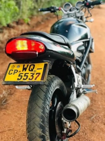 suzuki-bandit-v-big-1