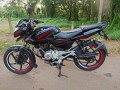 pulsar-135-ls-small-3