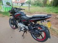 pulsar-135-ls-small-0